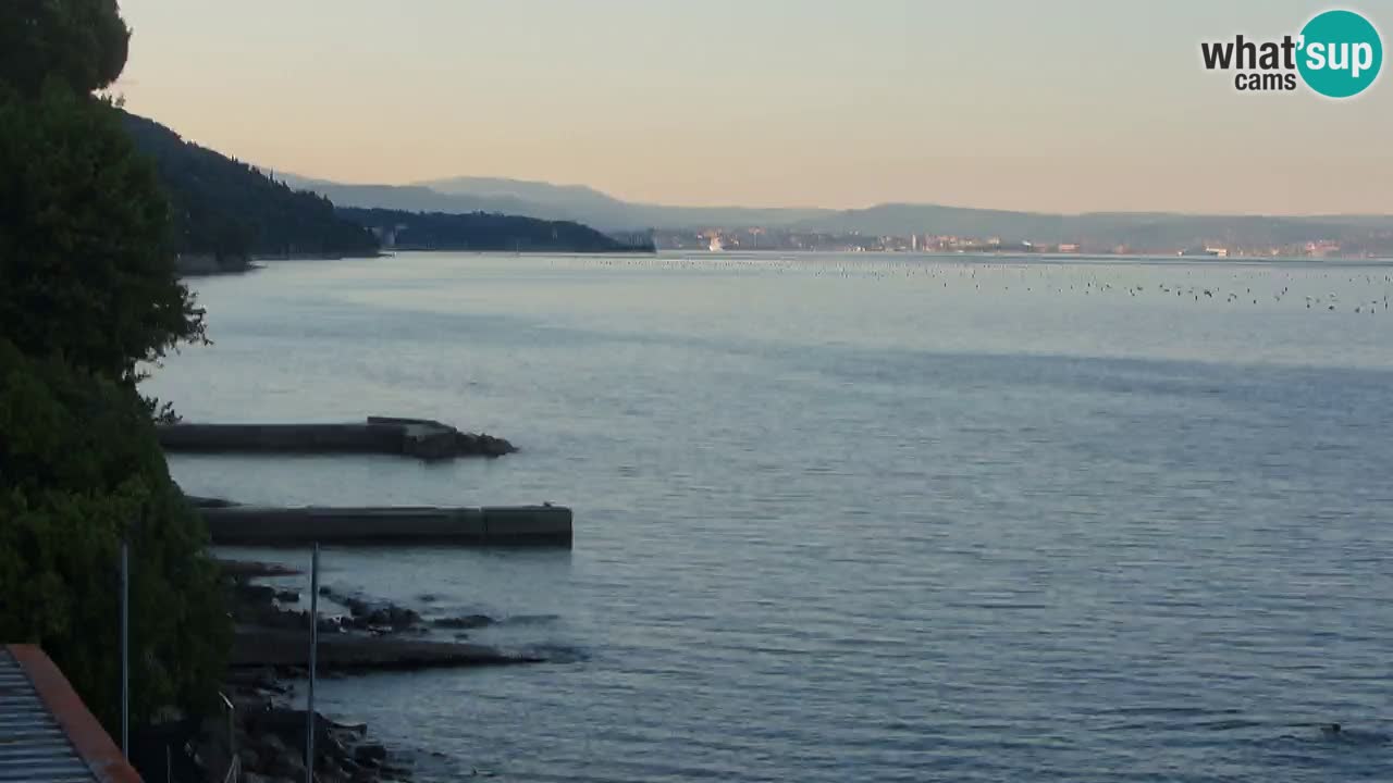 Webcam del restaurante BellaRiva | Costa de Trieste – vista hacia el castillo de Miramare