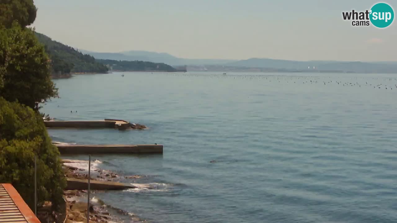 Webcam BellaRiva restaurant | Trieste coast – view to Miramare castle