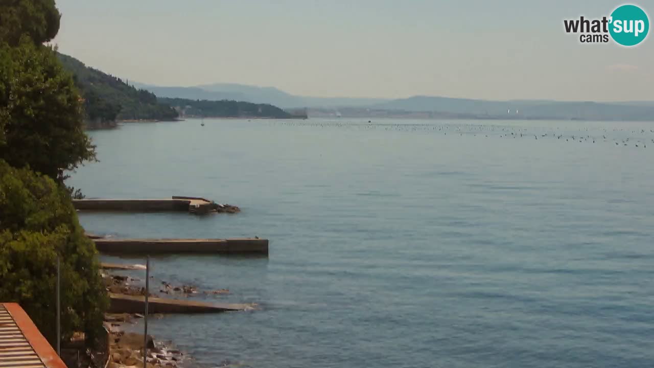 Webcam BellaRiva restaurant | Trieste coast – view to Miramare castle