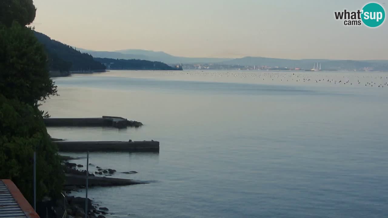 Webcam du restaurant BellaRiva | Côte de Trieste – vue sur le château de Miramare