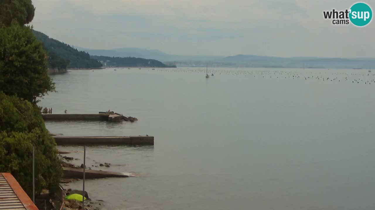 Webcam Restaurant BellaRiva | Küste von Triest – Blick auf das Schloss Miramare