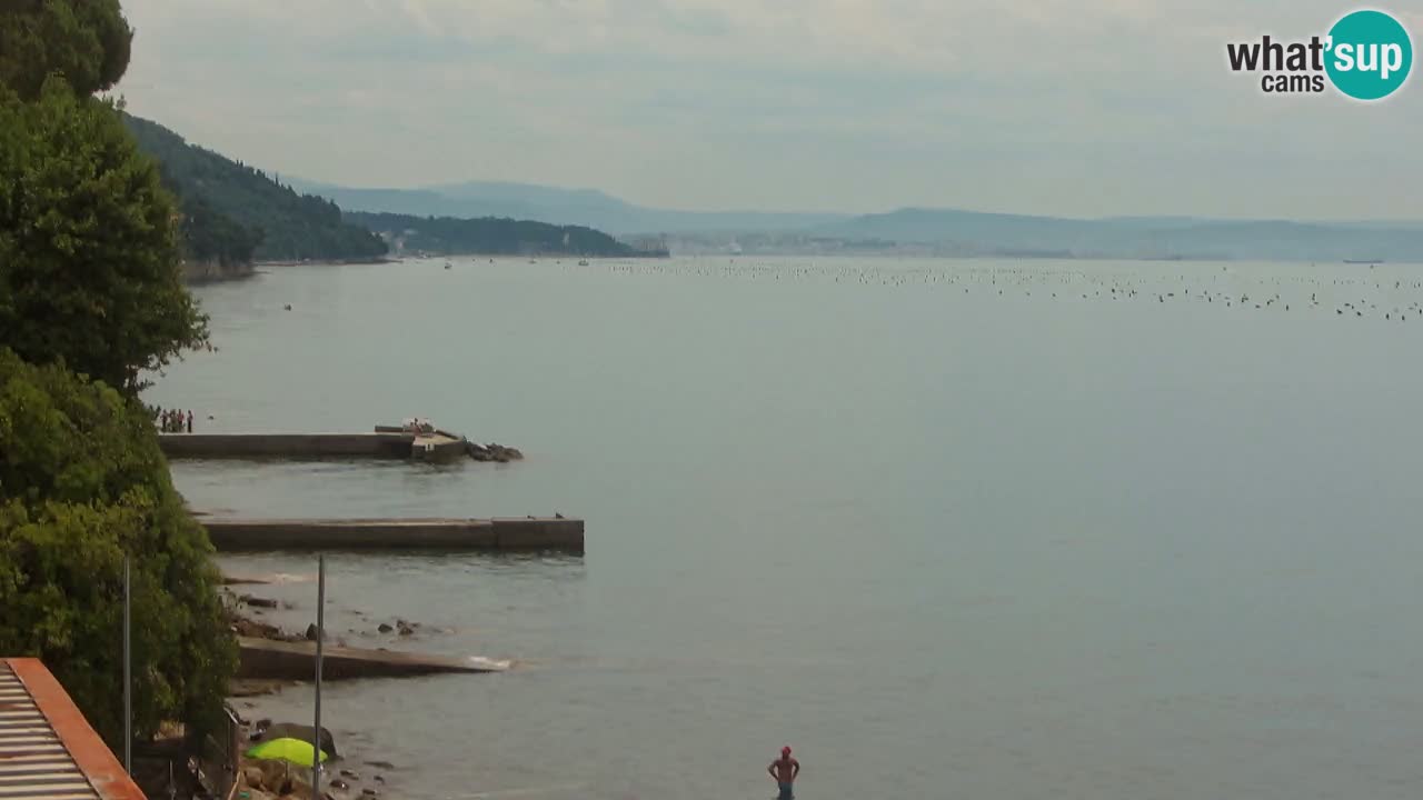 Webcam Restaurant BellaRiva | Küste von Triest – Blick auf das Schloss Miramare