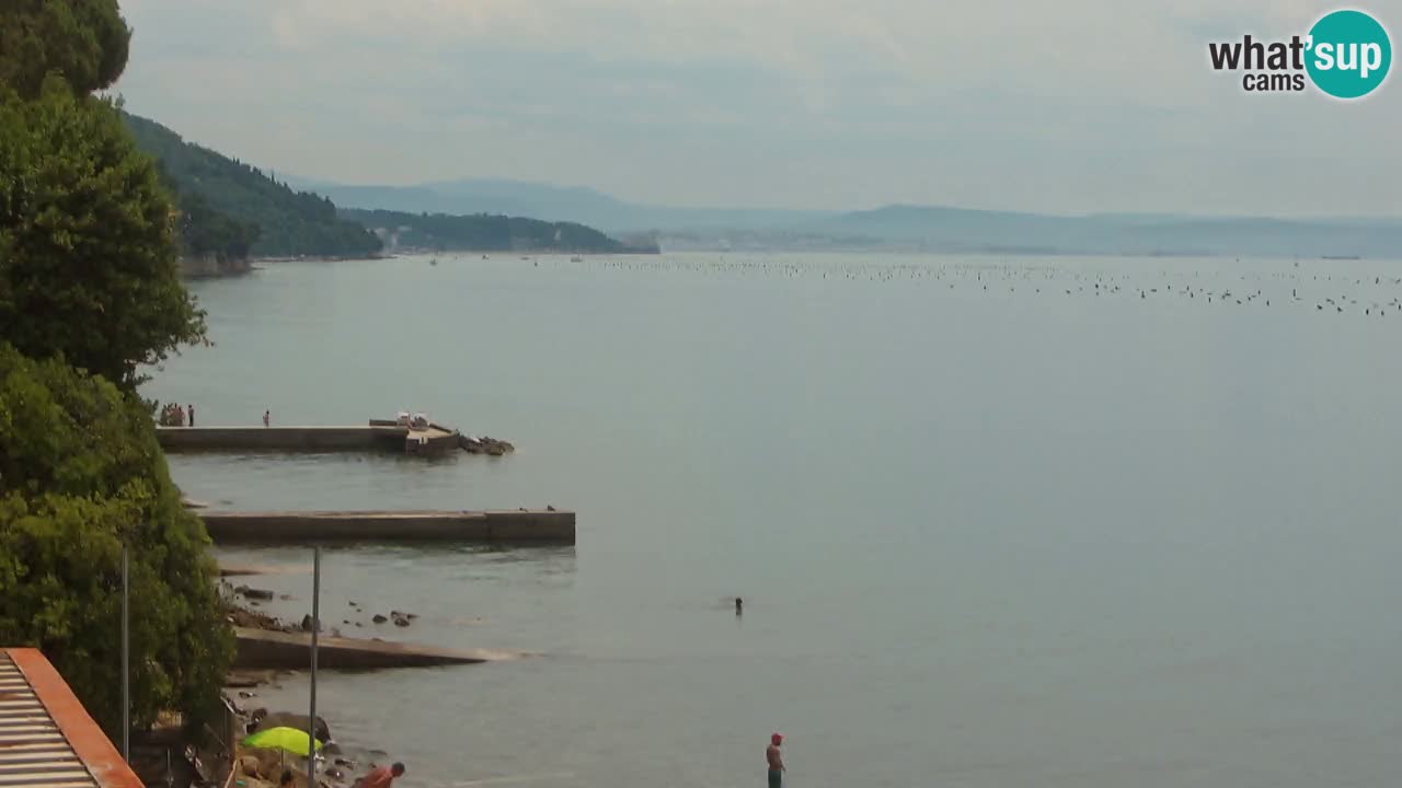 Webcam del restaurante BellaRiva | Costa de Trieste – vista hacia el castillo de Miramare
