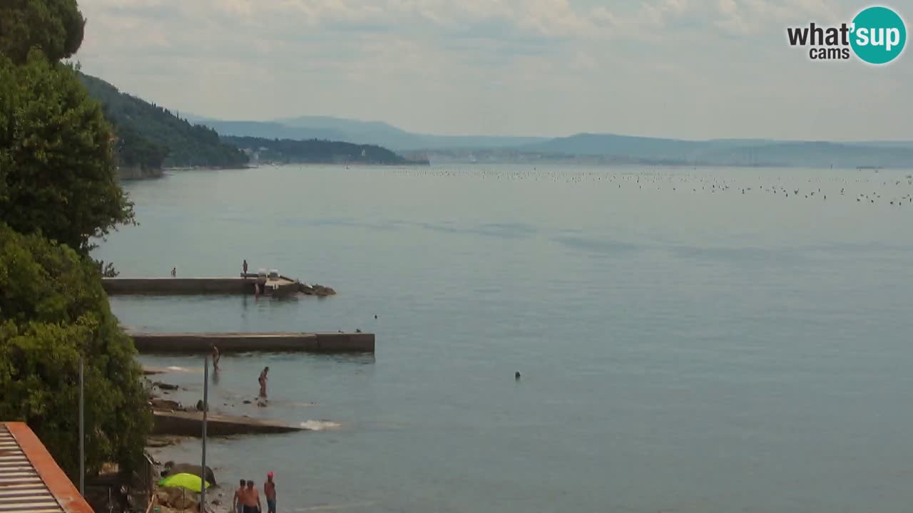 Webcam del restaurante BellaRiva | Costa de Trieste – vista hacia el castillo de Miramare