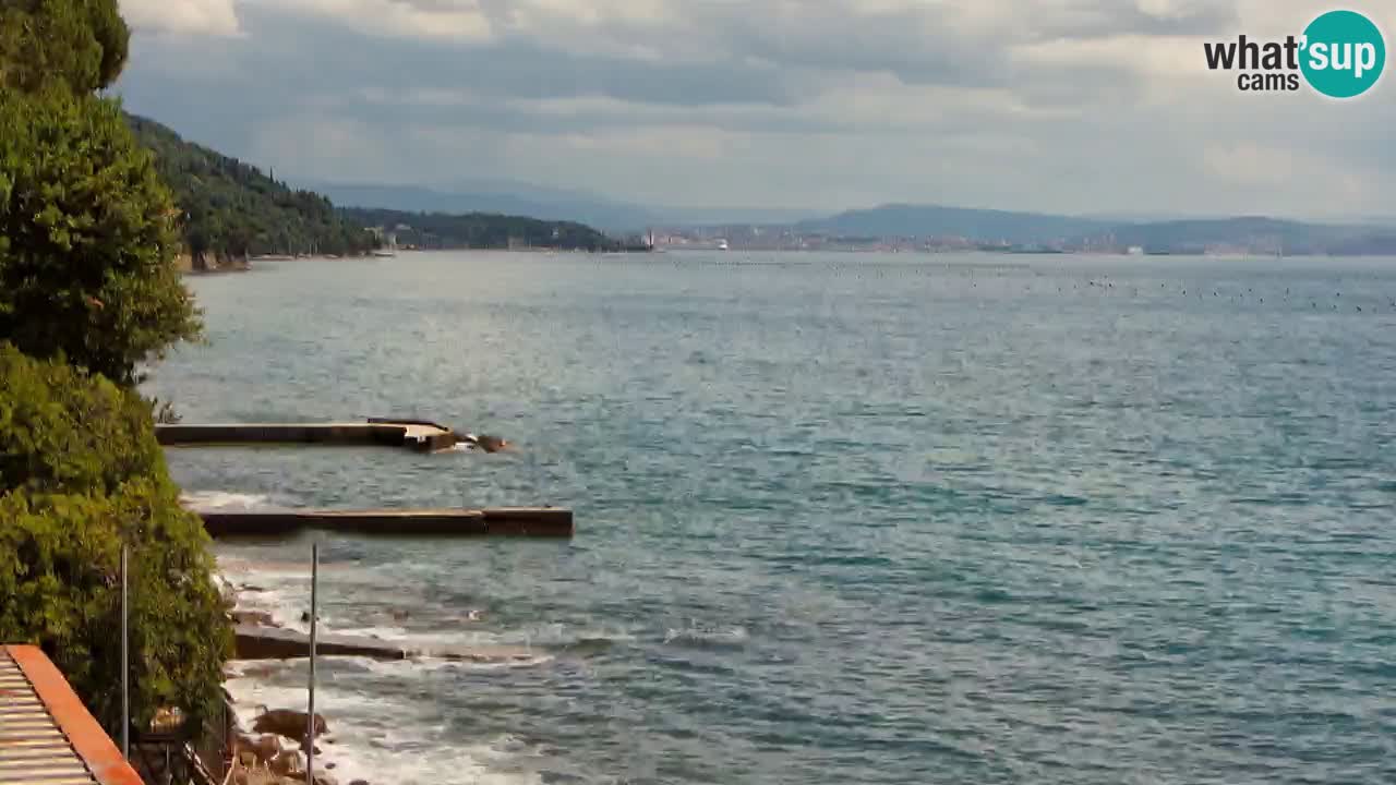 Web kamera restorana BellaRiva | Obala Trsta – pogled na dvorac Miramare