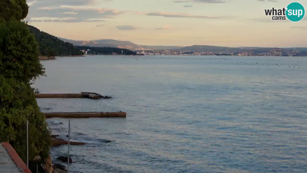 Webcam du restaurant BellaRiva | Côte de Trieste – vue sur le château de Miramare
