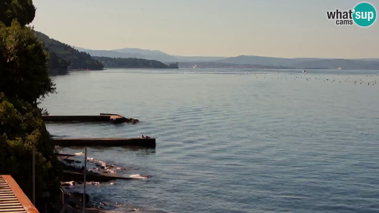 Webcam del restaurante BellaRiva | Costa de Trieste – vista hacia el castillo de Miramare