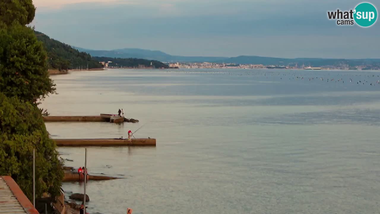 Webcam BellaRiva restaurant | Trieste coast – view to Miramare castle
