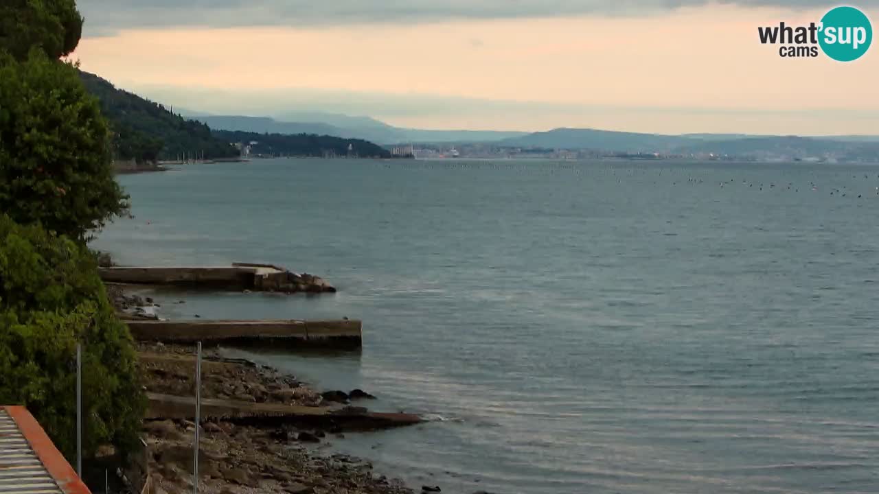 Webcam du restaurant BellaRiva | Côte de Trieste – vue sur le château de Miramare