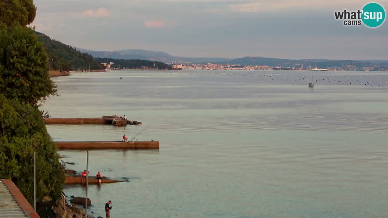 Webcam du restaurant BellaRiva | Côte de Trieste – vue sur le château de Miramare