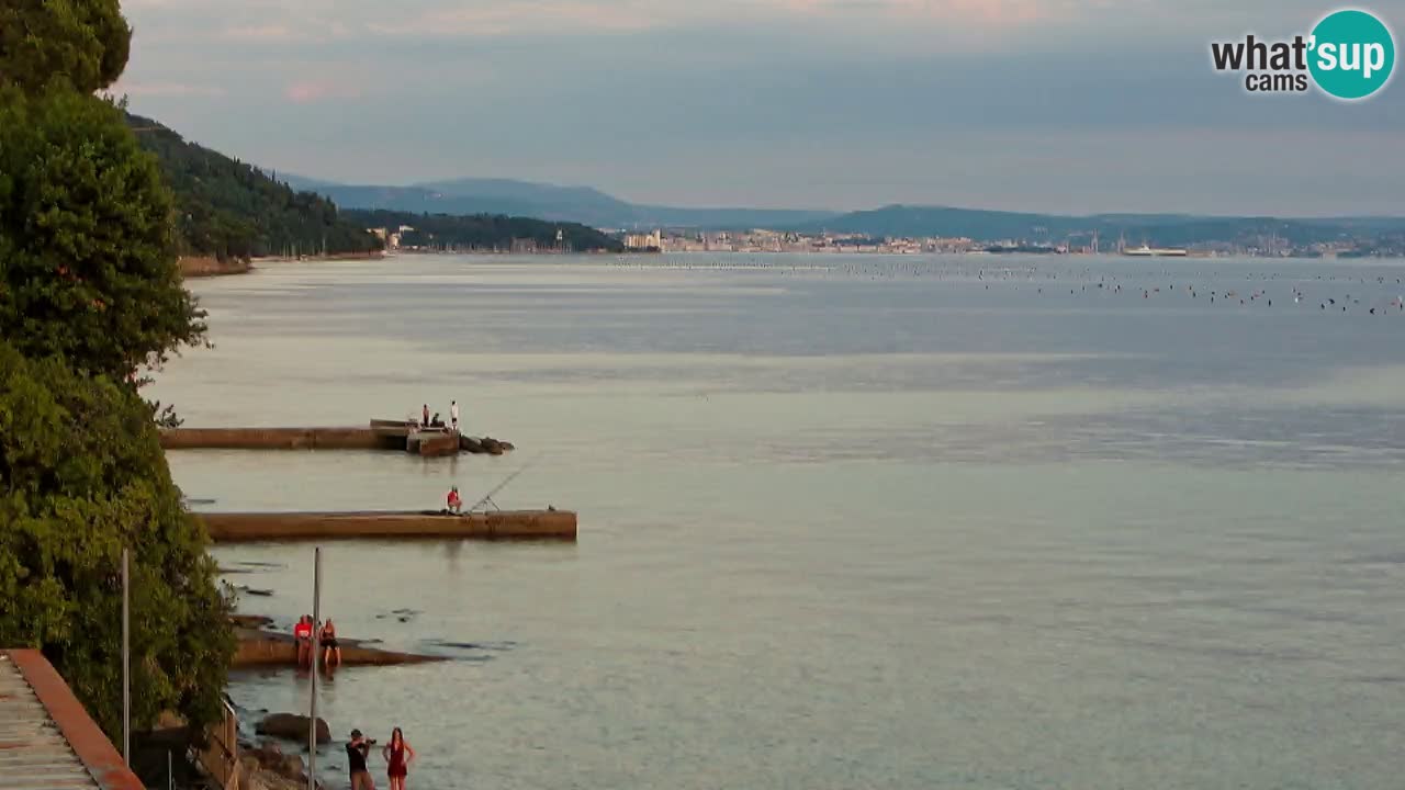 Gostilna BellaRiva kamera | Trst obala – pogled na Miramarski grad