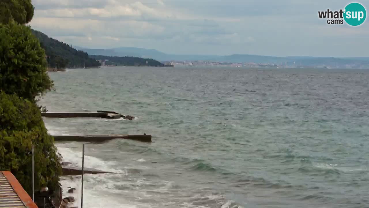 Webcam BellaRiva restaurant | Trieste coast – view to Miramare castle