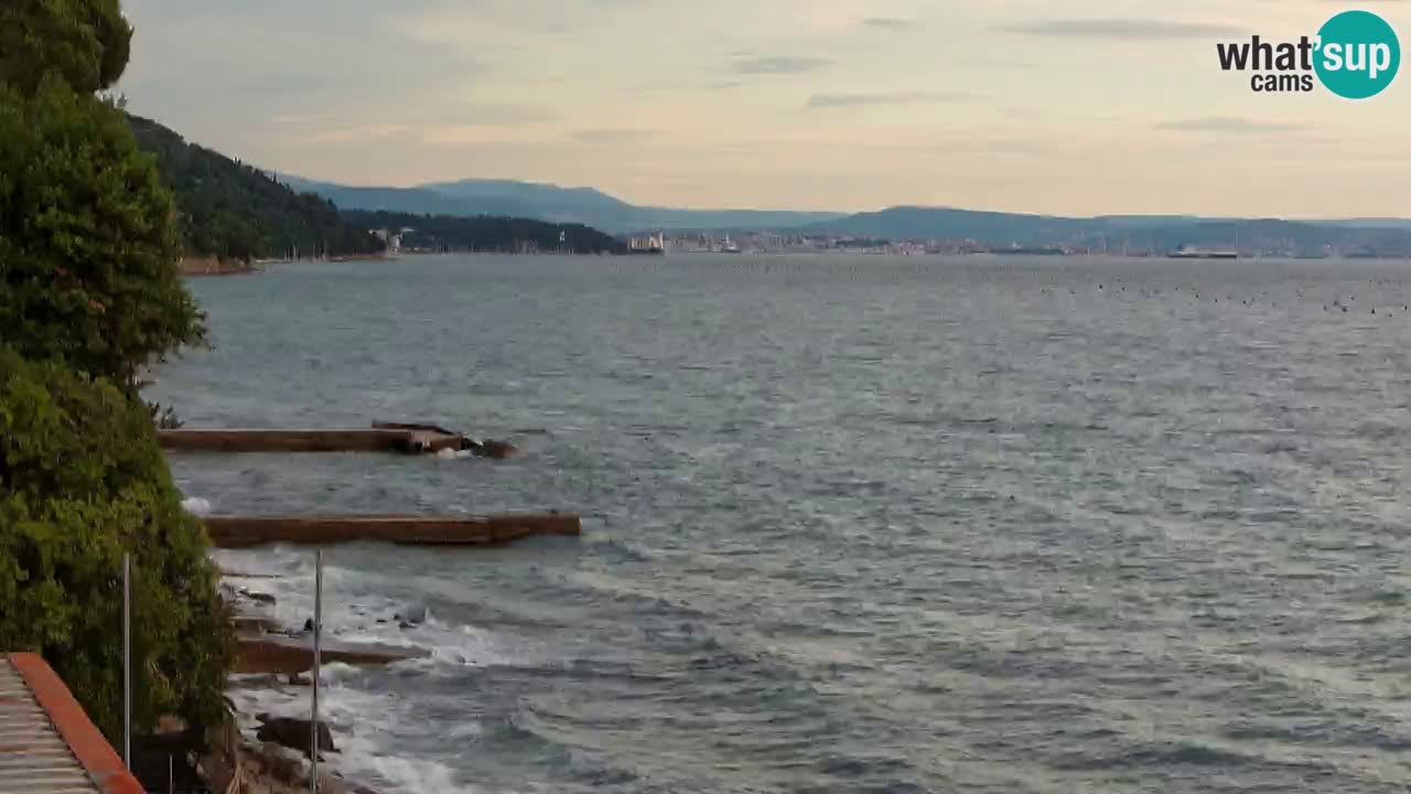 Web kamera restorana BellaRiva | Obala Trsta – pogled na dvorac Miramare