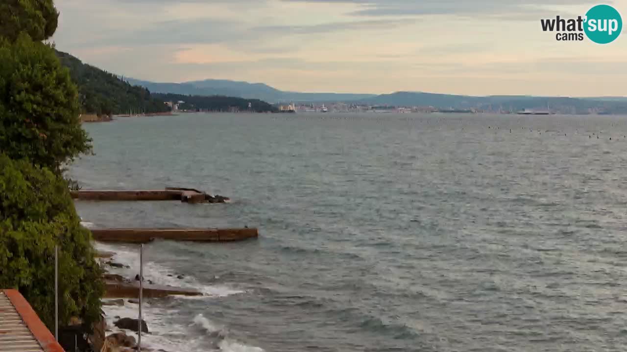 Webcam BellaRiva restaurant | Trieste coast – view to Miramare castle