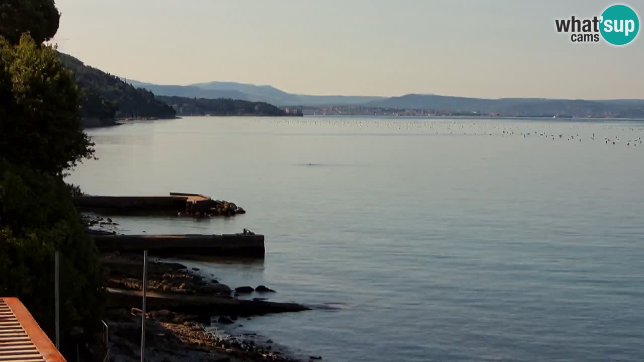 Trattoria BellaRiva webcam | Trieste costiera e castello di Miramare