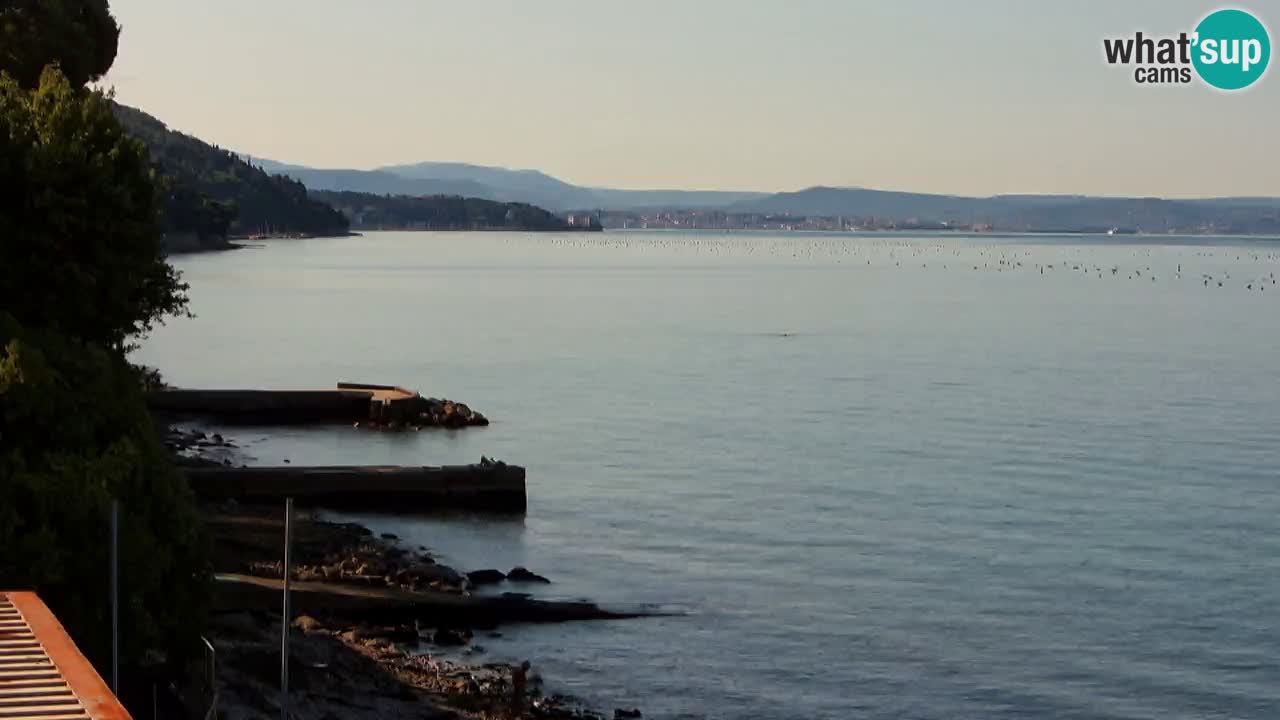 Web kamera restorana BellaRiva | Obala Trsta – pogled na dvorac Miramare