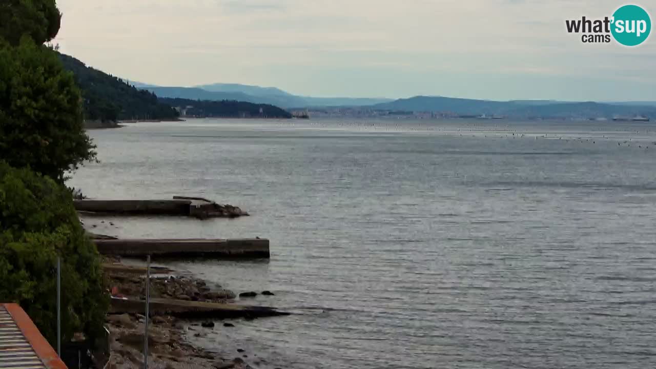 Trattoria BellaRiva webcam | Trieste costiera e castello di Miramare