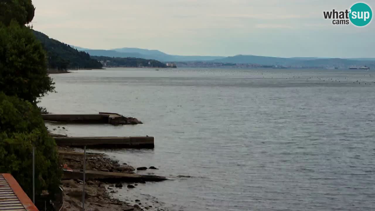 Webcam BellaRiva restaurant | Trieste coast – view to Miramare castle