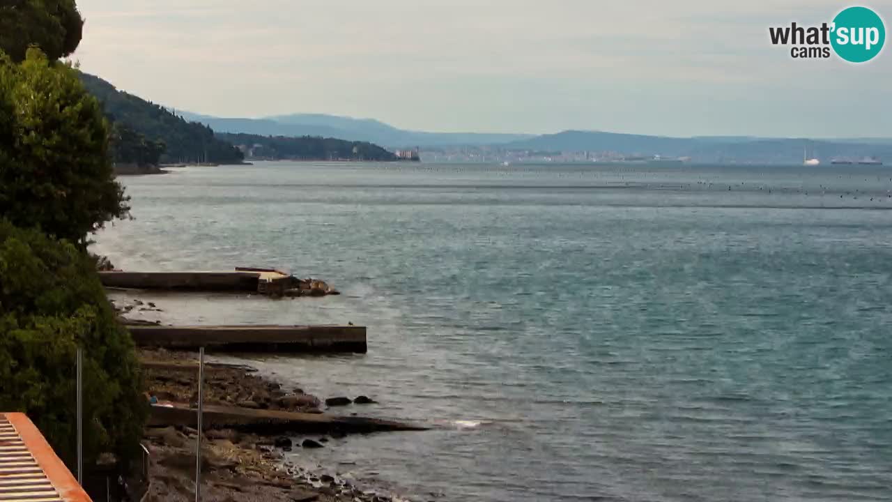 Trattoria BellaRiva webcam | Trieste costiera e castello di Miramare