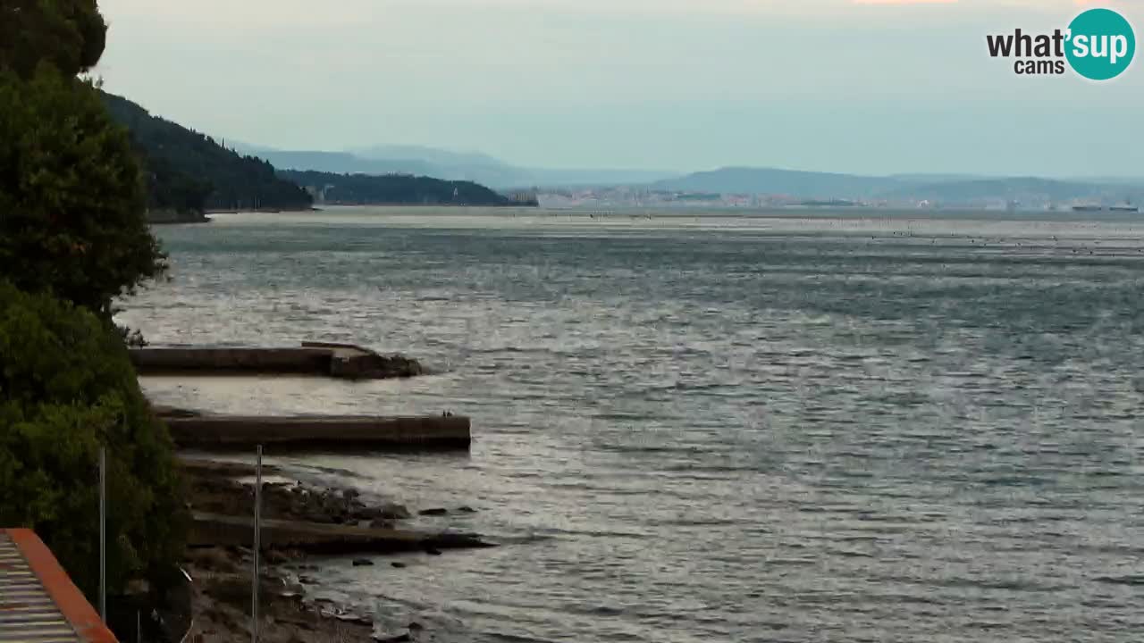 Webcam Restaurant BellaRiva | Küste von Triest – Blick auf das Schloss Miramare