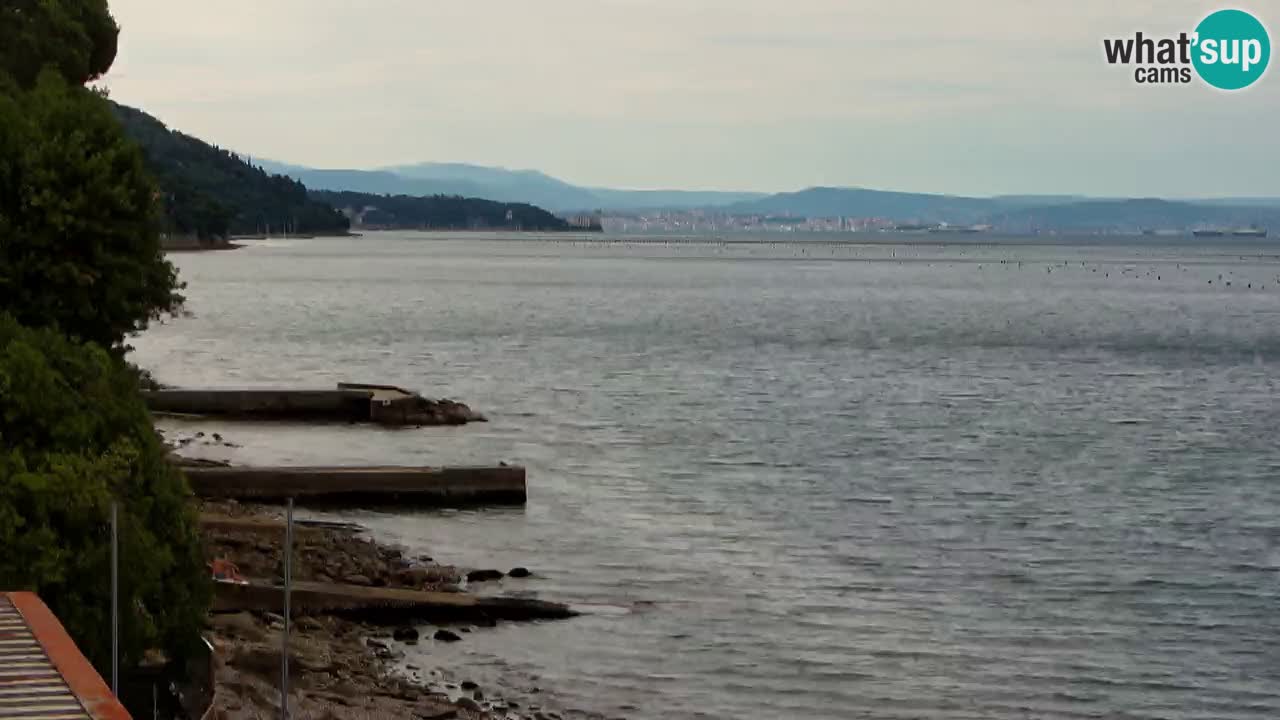 Web kamera restorana BellaRiva | Obala Trsta – pogled na dvorac Miramare