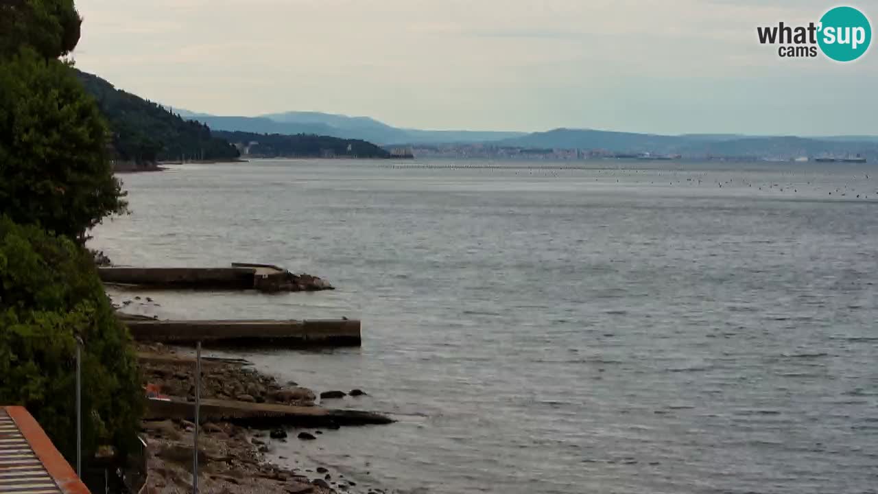 Webcam BellaRiva restaurant | Trieste coast – view to Miramare castle