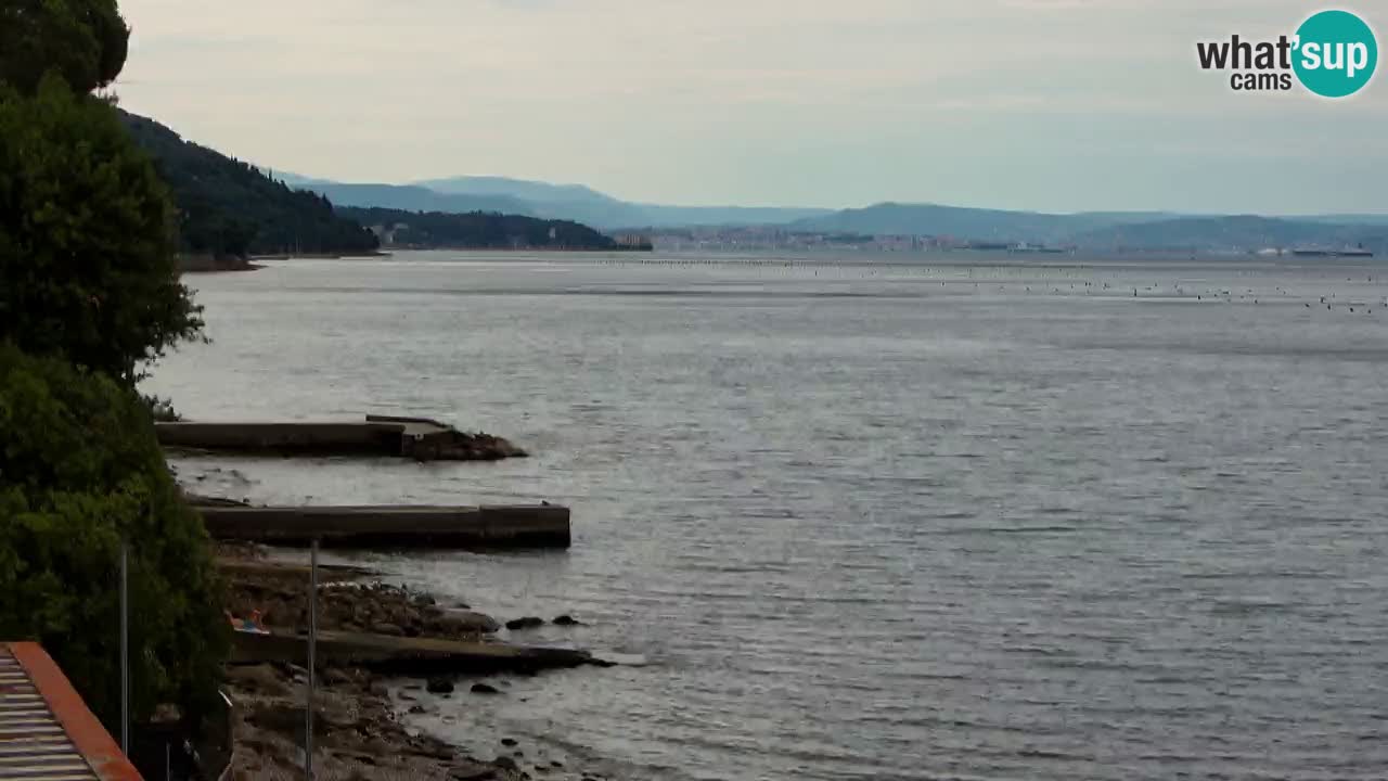 Web kamera restorana BellaRiva | Obala Trsta – pogled na dvorac Miramare