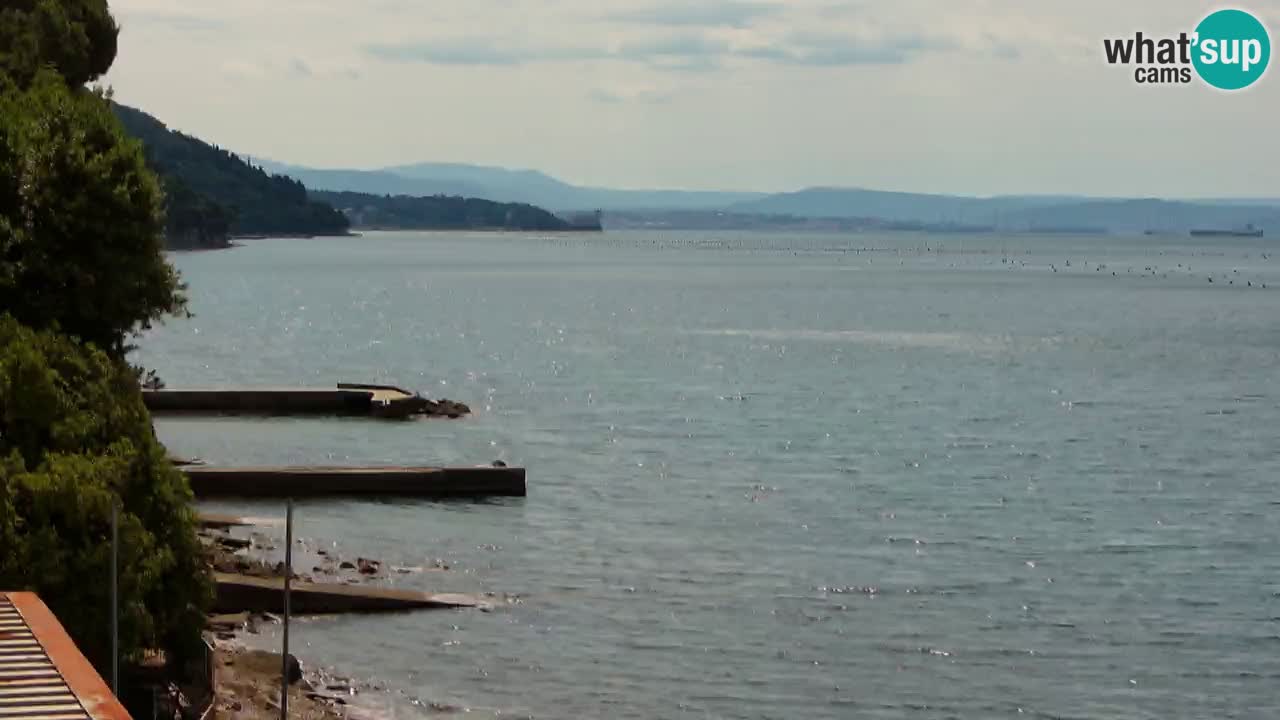 Webcam Restaurant BellaRiva | Küste von Triest – Blick auf das Schloss Miramare