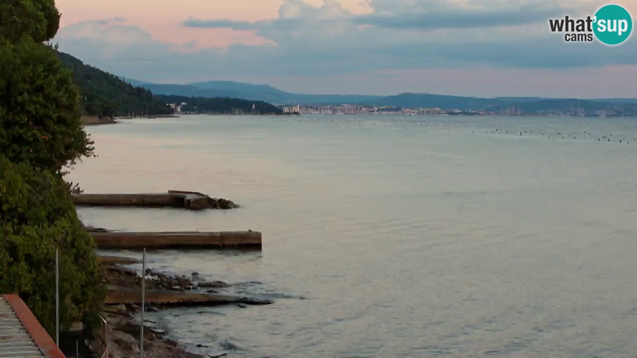 Webcam BellaRiva restaurant | Trieste coast – view to Miramare castle