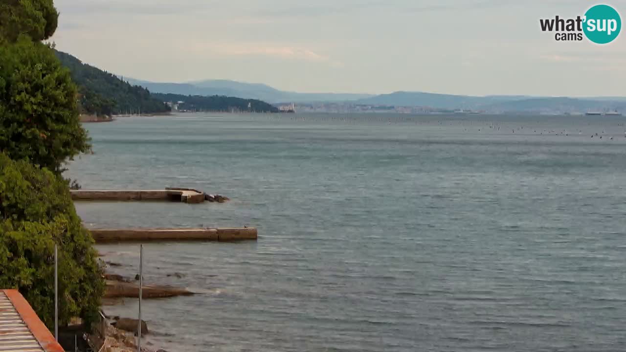 Trattoria BellaRiva webcam | Trieste costiera e castello di Miramare