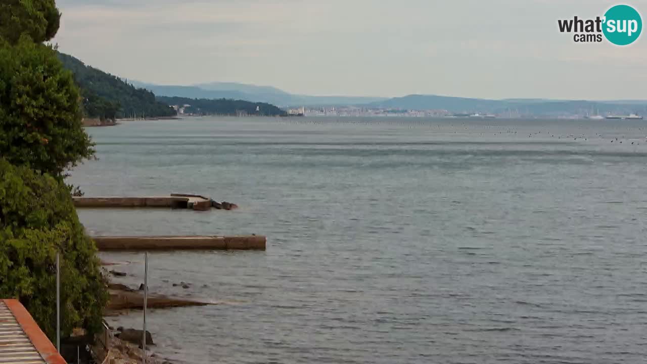 Trattoria BellaRiva webcam | Trieste costiera e castello di Miramare