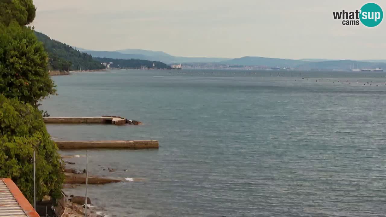 Trattoria BellaRiva webcam | Trieste costiera e castello di Miramare