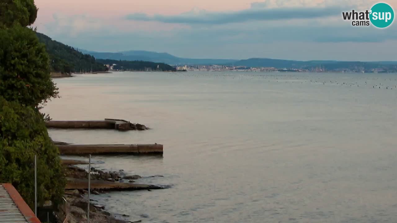 Webcam del restaurante BellaRiva | Costa de Trieste – vista hacia el castillo de Miramare