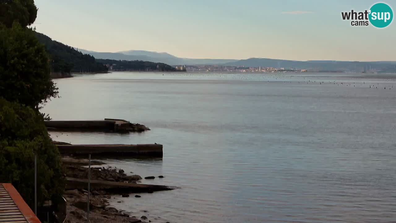 Webcam BellaRiva restaurant | Trieste coast – view to Miramare castle