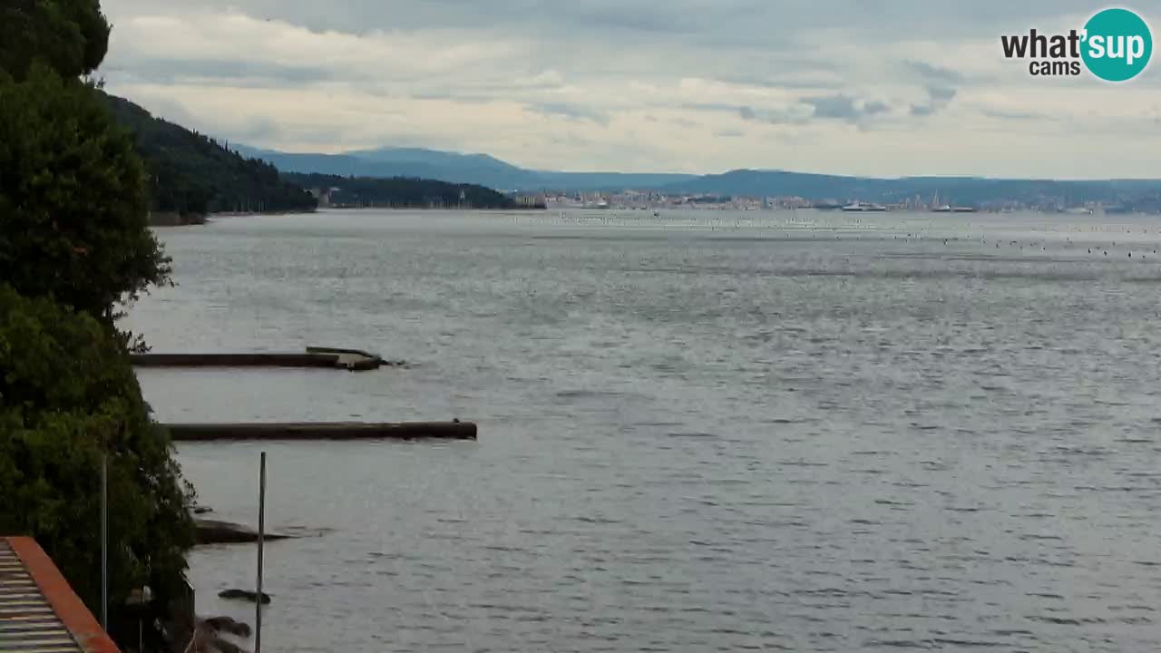 Trattoria BellaRiva webcam | Trieste costiera e castello di Miramare