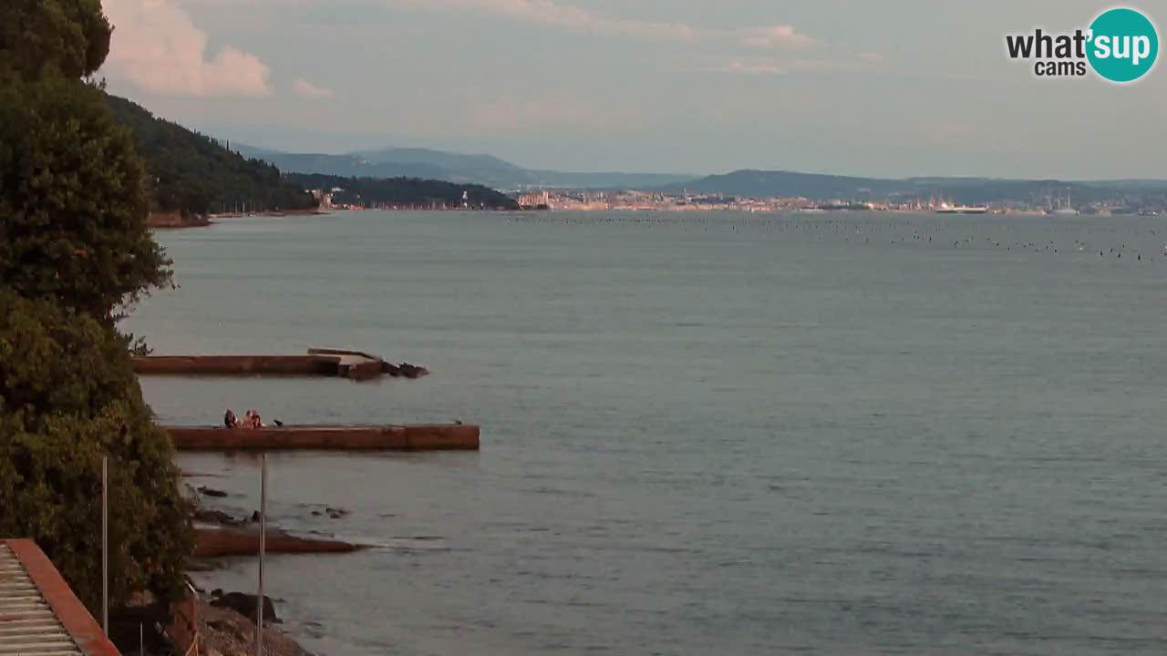 Webcam BellaRiva restaurant | Trieste coast – view to Miramare castle