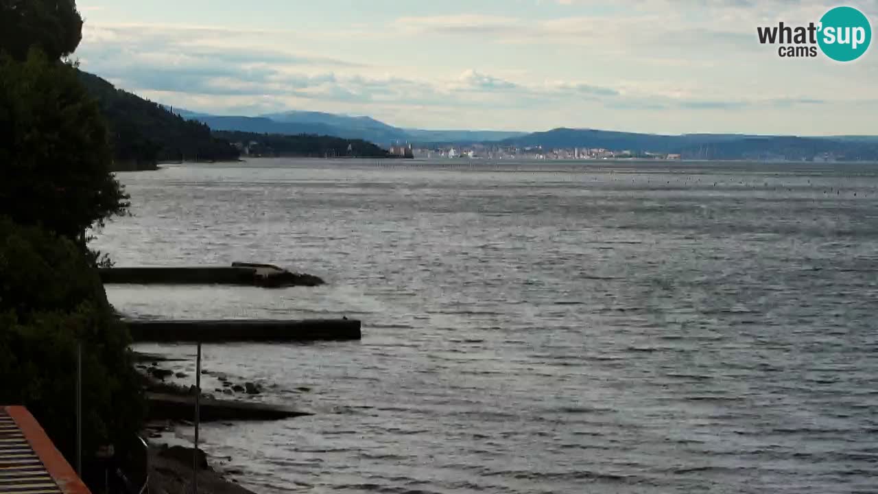 Webcam BellaRiva restaurant | Trieste coast – view to Miramare castle