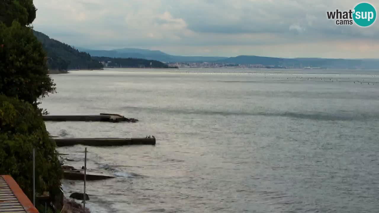 Webcam del restaurante BellaRiva | Costa de Trieste – vista hacia el castillo de Miramare