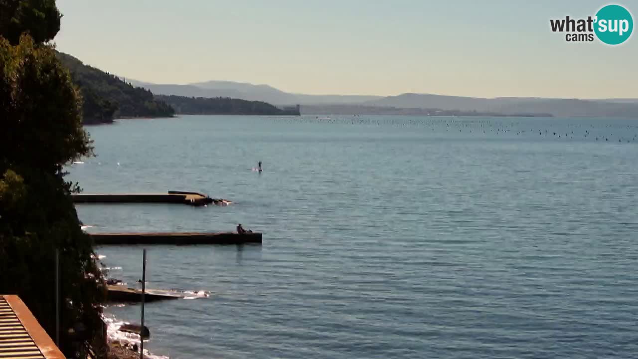 Webcam du restaurant BellaRiva | Côte de Trieste – vue sur le château de Miramare