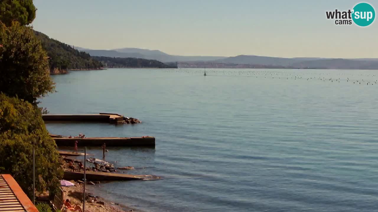 Webcam BellaRiva restaurant | Trieste coast – view to Miramare castle