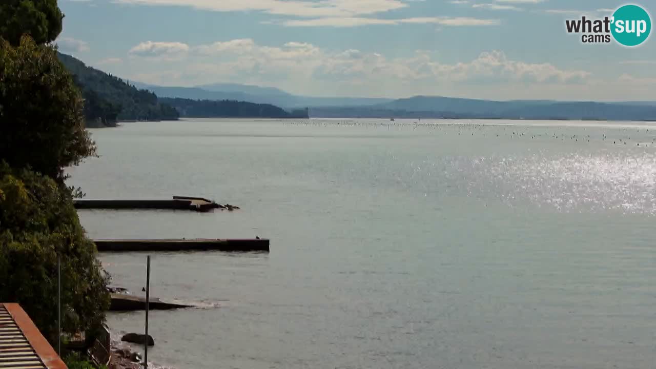 Webcam Restaurant BellaRiva | Küste von Triest – Blick auf das Schloss Miramare
