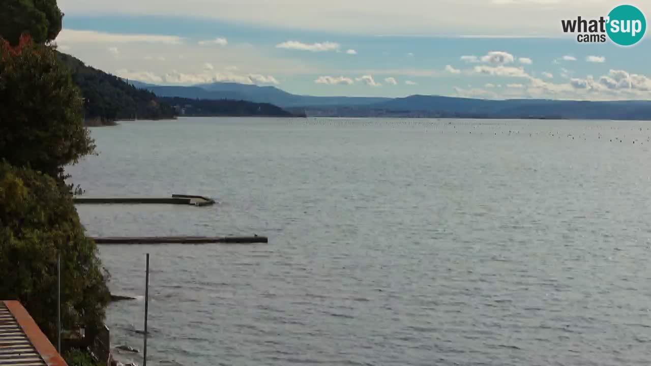 Trattoria BellaRiva webcam | Trieste costiera e castello di Miramare