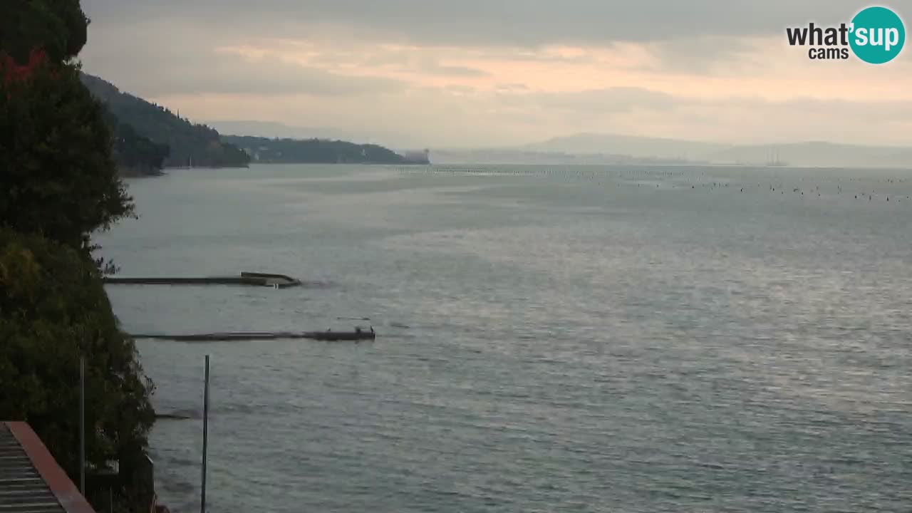 Webcam BellaRiva restaurant | Trieste coast – view to Miramare castle