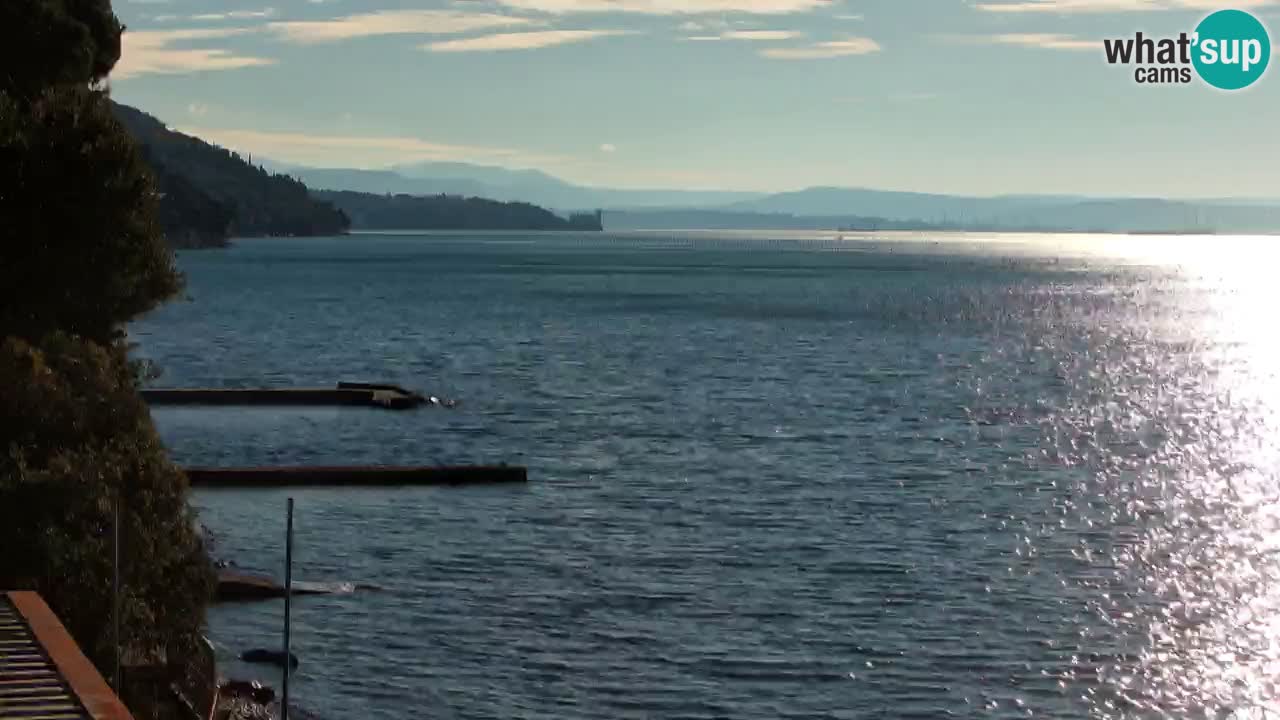 Webcam BellaRiva restaurant | Trieste coast – view to Miramare castle