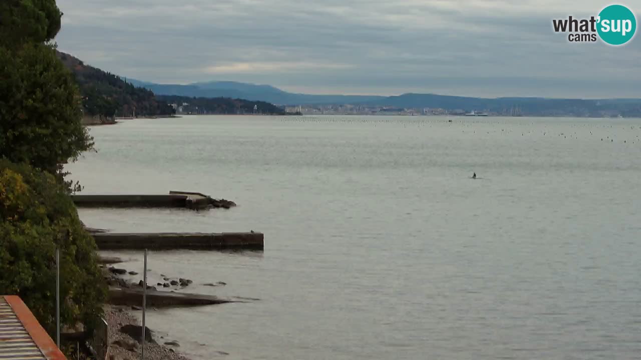 Web kamera restorana BellaRiva | Obala Trsta – pogled na dvorac Miramare