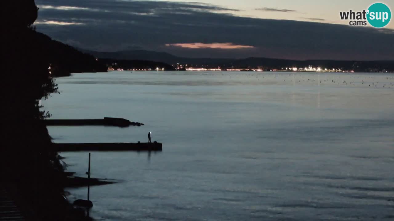 Webcam du restaurant BellaRiva | Côte de Trieste – vue sur le château de Miramare