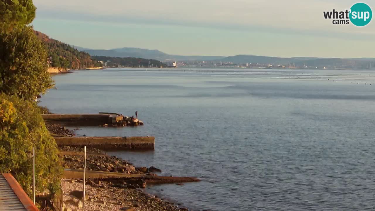 Webcam BellaRiva restaurant | Trieste coast – view to Miramare castle