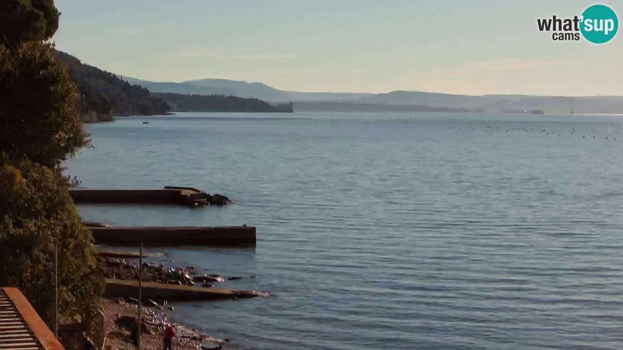 Trattoria BellaRiva webcam | Trieste costiera e castello di Miramare