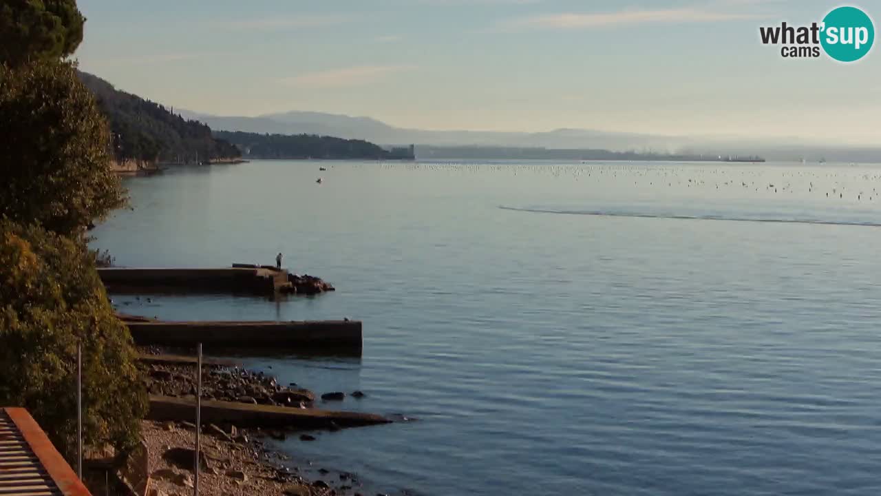Webcam du restaurant BellaRiva | Côte de Trieste – vue sur le château de Miramare