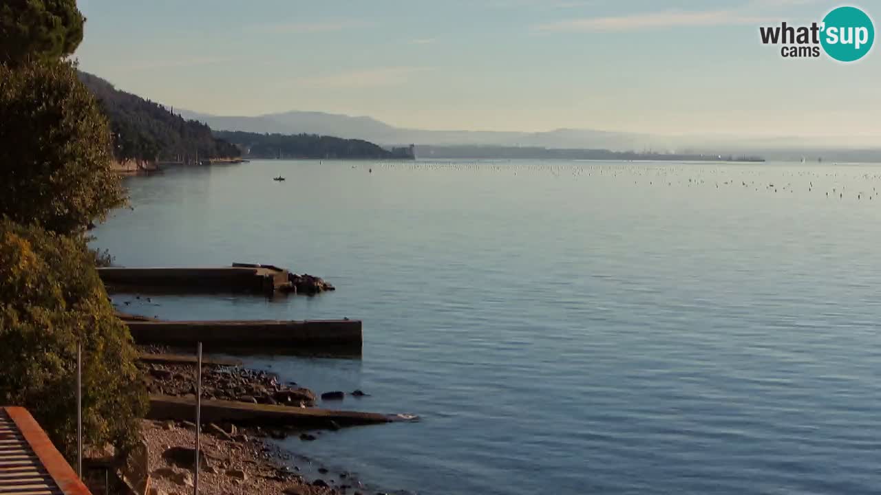 Trattoria BellaRiva webcam | Trieste costiera e castello di Miramare